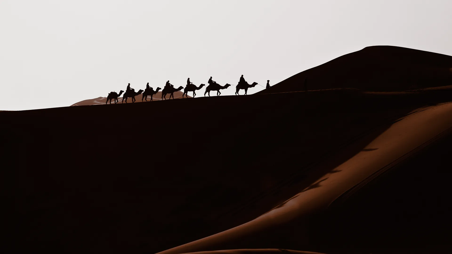 Silhouette of a camel caravan crossing desert sand dunes at dusk, Merzouga, Sahara Desert, Morocco