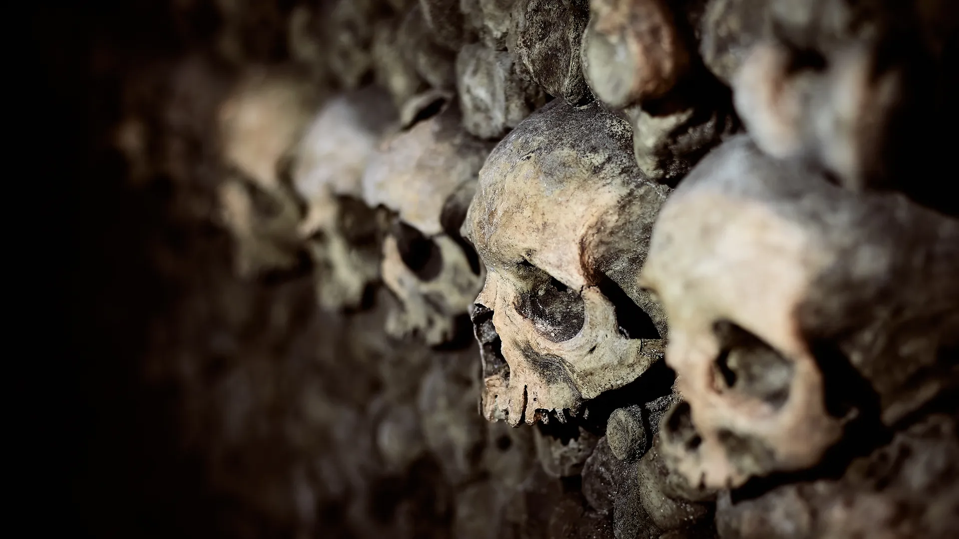 Pile of human skulls, Catacombes, Paris, France