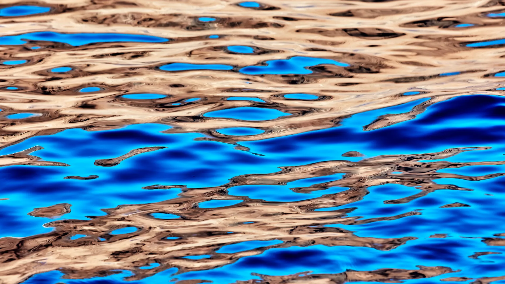 Abstract blue and copper reflections on rippling water surface at dawn, Guadalupe Island, Mexico